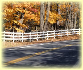 Fall Autumn New England Vacation Rentals York Maine ME Vacations Vacationing Rental Home House Cottages for Rent Properties Property, New England, Kittery Maine ME, Kittery Point Maine ME, Kennebunkport Maine ME, Kennebunk Maine ME, Portsmouth New Hampshire NH, Berwick Maine ME, South Berwick Maine ME, Oqunquit Maine ME, Wells Maine ME, Oqunquit Beach Maine ME, Wells Beach Maine ME, Moody Maine ME, Eliot Maine ME, York Maine ME, York Harbor Maine ME, York Village Maine ME, York Beach Maine ME, the Yorks, the berwick's, south of Portland, maine coast, York County Maine kennebunks, kenebunk, kennybunk, kennybunkport, New England, US, USA, coastal, east coast, southern maine, southern new hampshire, seacoast new hampshire, maine southern coast