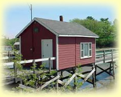 Fall Autumn New England Vacation Rentals York Maine ME Vacations Vacationing Rental Home House Cottages for Rent Properties Property, New England, Kittery Maine ME, Kittery Point Maine ME, Kennebunkport Maine ME, Kennebunk Maine ME, Portsmouth New Hampshire NH, Berwick Maine ME, South Berwick Maine ME, Oqunquit Maine ME, Wells Maine ME, Oqunquit Beach Maine ME, Wells Beach Maine ME, Moody Maine ME, Eliot Maine ME, York Maine ME, York Harbor Maine ME, York Village Maine ME, York Beach Maine ME, the Yorks, the berwick's, south of Portland, maine coast, York County Maine kennebunks, kenebunk, kennybunk, kennybunkport, New England, US, USA, coastal, east coast, southern maine, southern new hampshire, seacoast new hampshire, maine southern coast